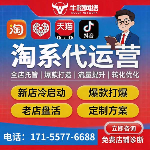 平凉电商代运营