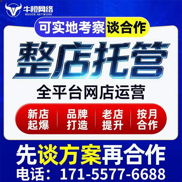 平凉电商代运营