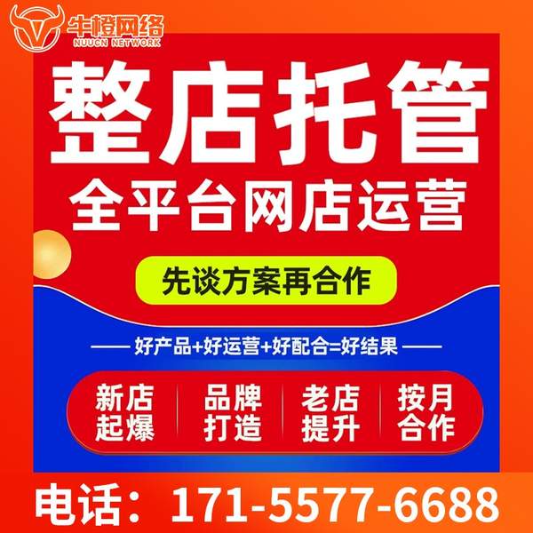 平凉电商代运营