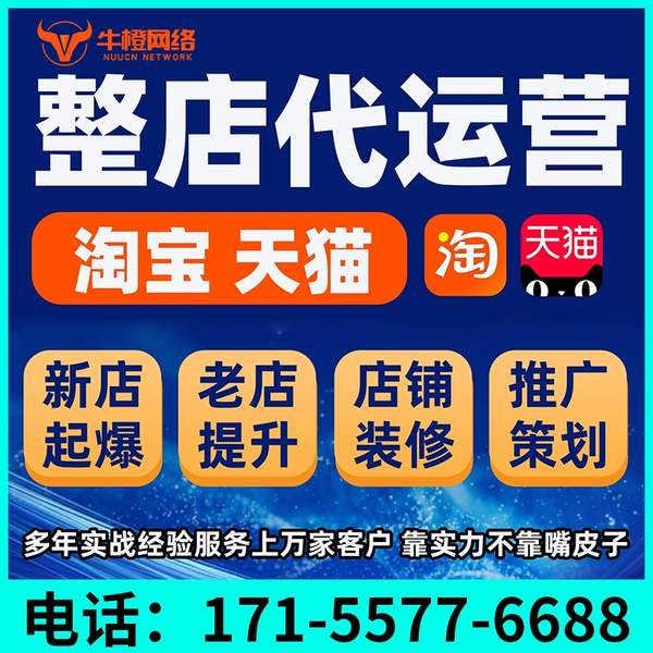 平凉电商代运营