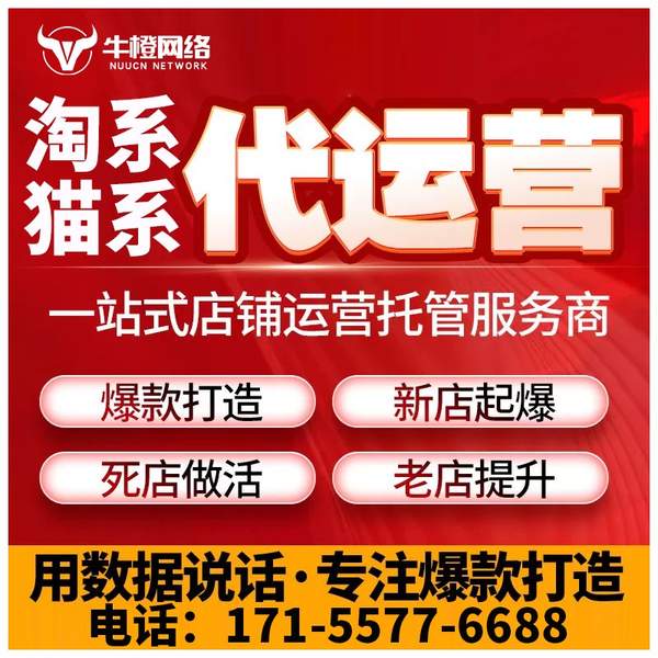 平凉电商代运营
